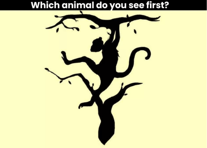 Tes Kepribadian Ilusi Optik: Hewan yang Dilihat Pertama Bisa Ungkap Jati Diri, Apakah Kamu Kreatif atau Analitis?
