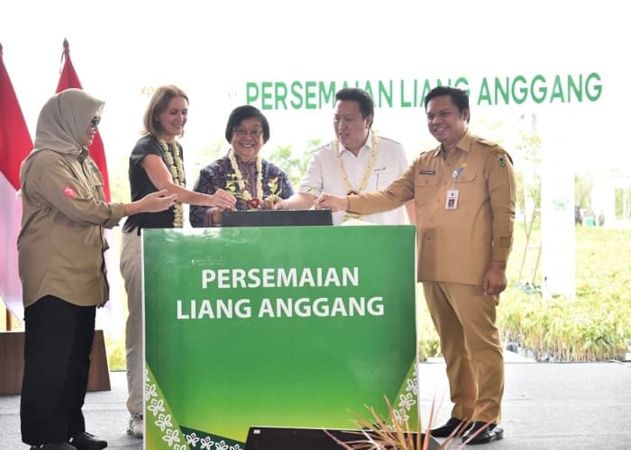 Persemaian Bibit Skala Besar Siap Dukung Rehabilitasi Hutan dan Lahan