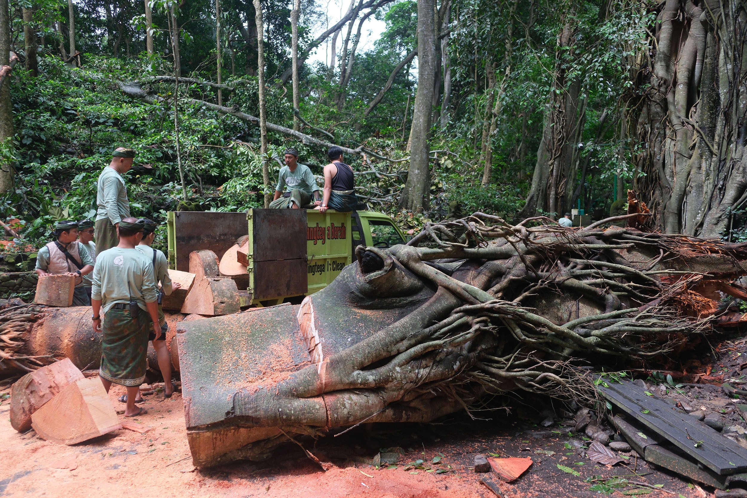Buntut Turis Tewas di Monkey Forest Bali, DPR Dorong Standarisasi Keselamatan Tempat Wisata