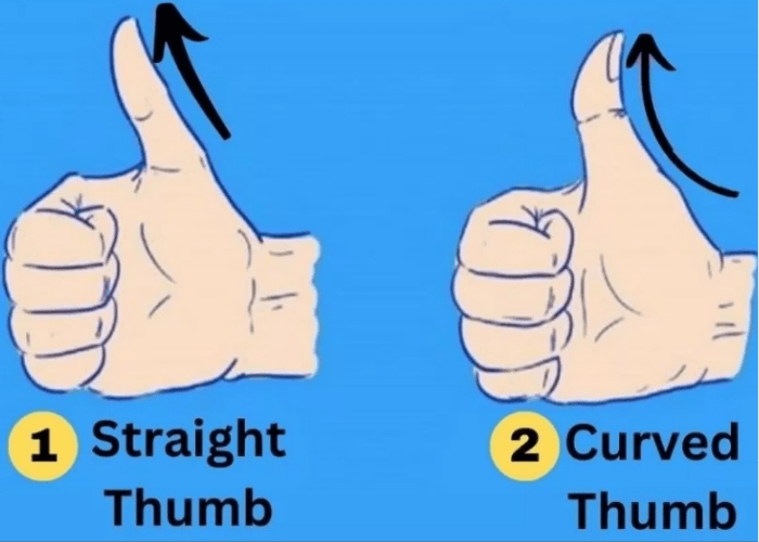 Tes Kepribadian: Bentuk Jempol Kamu Ungkap Sifat Tersembunyi yang Jarang Diketahui!