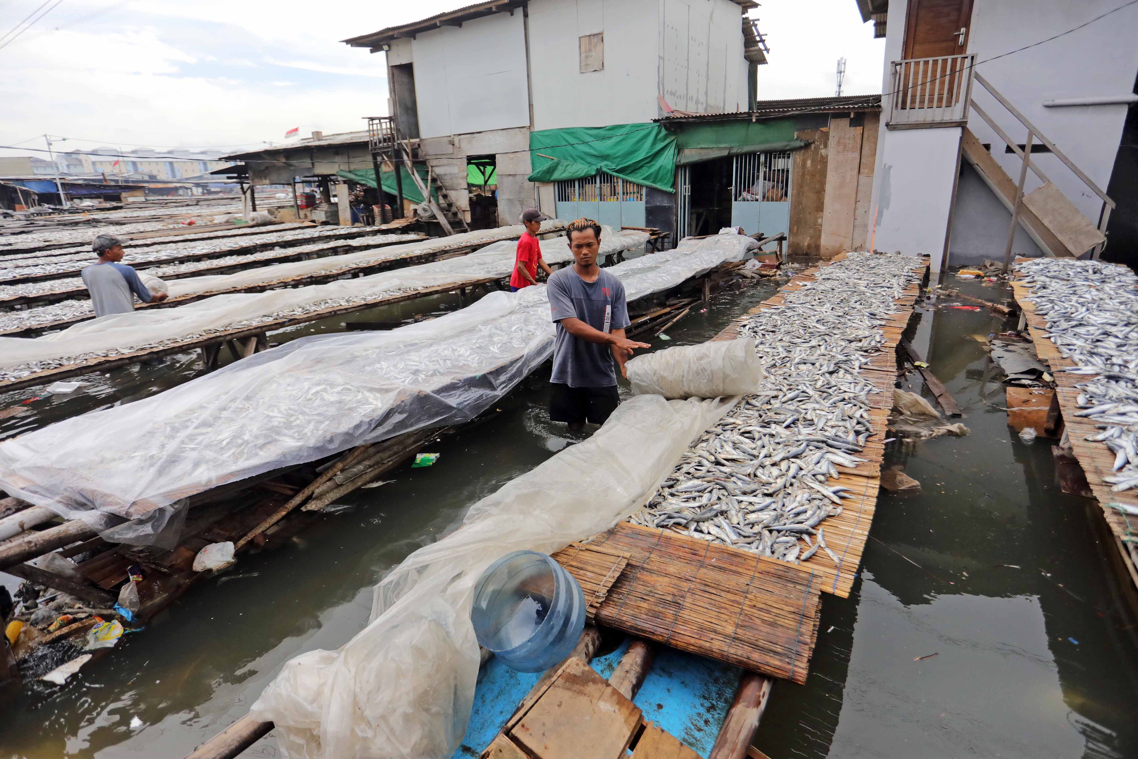 PNBP Perikanan Tangkap Tembus Rp926 Miliar di 2024