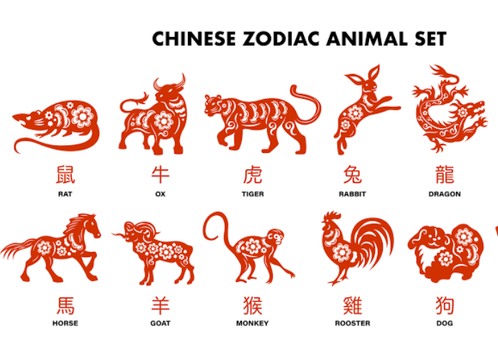 Ini 5 Shio Paling Beruntung di Minggu Ketiga Desember 2024, Apakah Anda Termasuk?