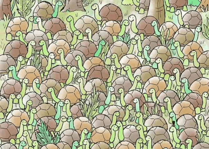 Tes IQ Teka-teki Gambar: 95% Gagal Menemukan Ular di Antara Kura-kura dalam 5 Detik! Bisakah Anda?