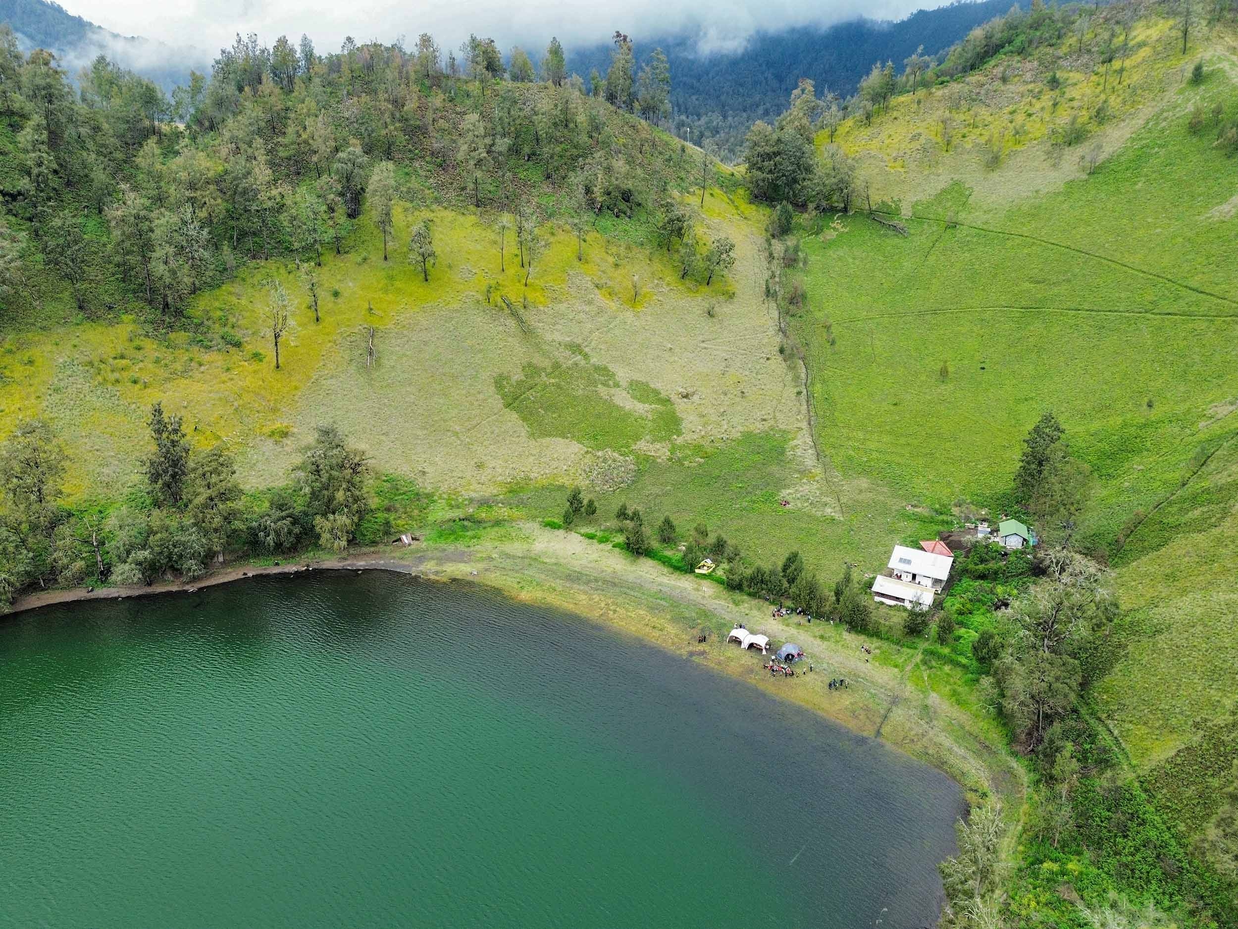Ladang Ganja di TNBTS Terbongkar! DPR Desak Pengawasan Kawasan Konservasi Diperketat