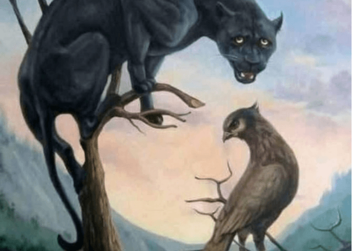 Tes Kepribadian Ilusi Optik: Gambar Pertama yang Kamu Lihat Mengungkap Sifat Asli dan Kualitas Tersembunyi!