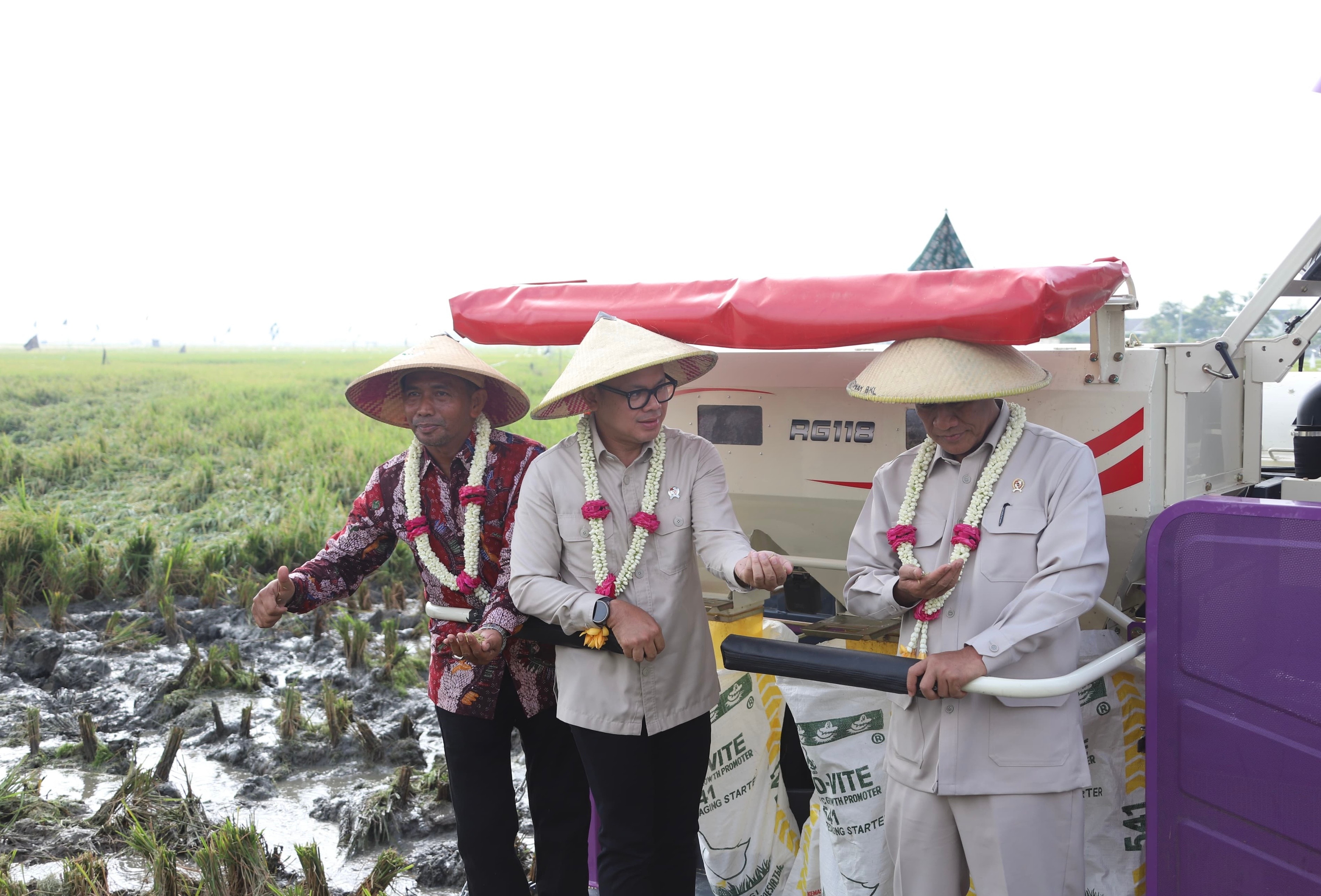 Wamendagri Optimis Realisasi Swasembada Pangan Bisa Lebih Cepat dari Target