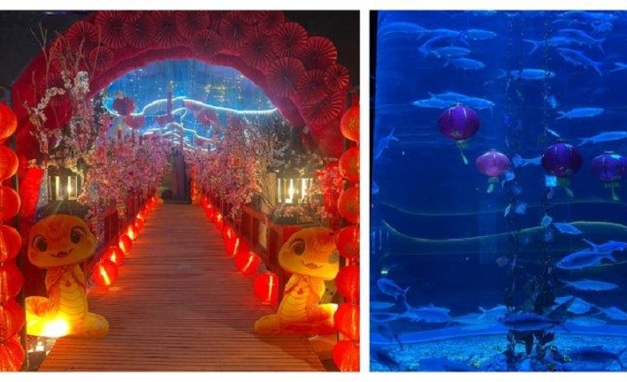 Bingung Mau ke Mana Saat Libur Panjang? Jakarta Aquarium Bisa Menjadi Pilihan Tepat