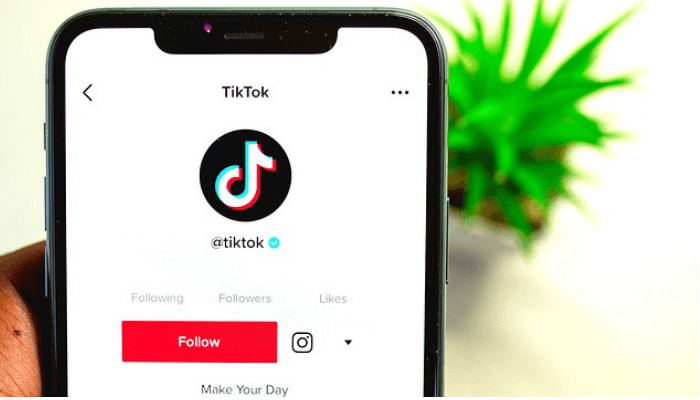 Cara Download Video TikTok Tanpa Watermark Lewat Snaptik, Cukup Copy Link