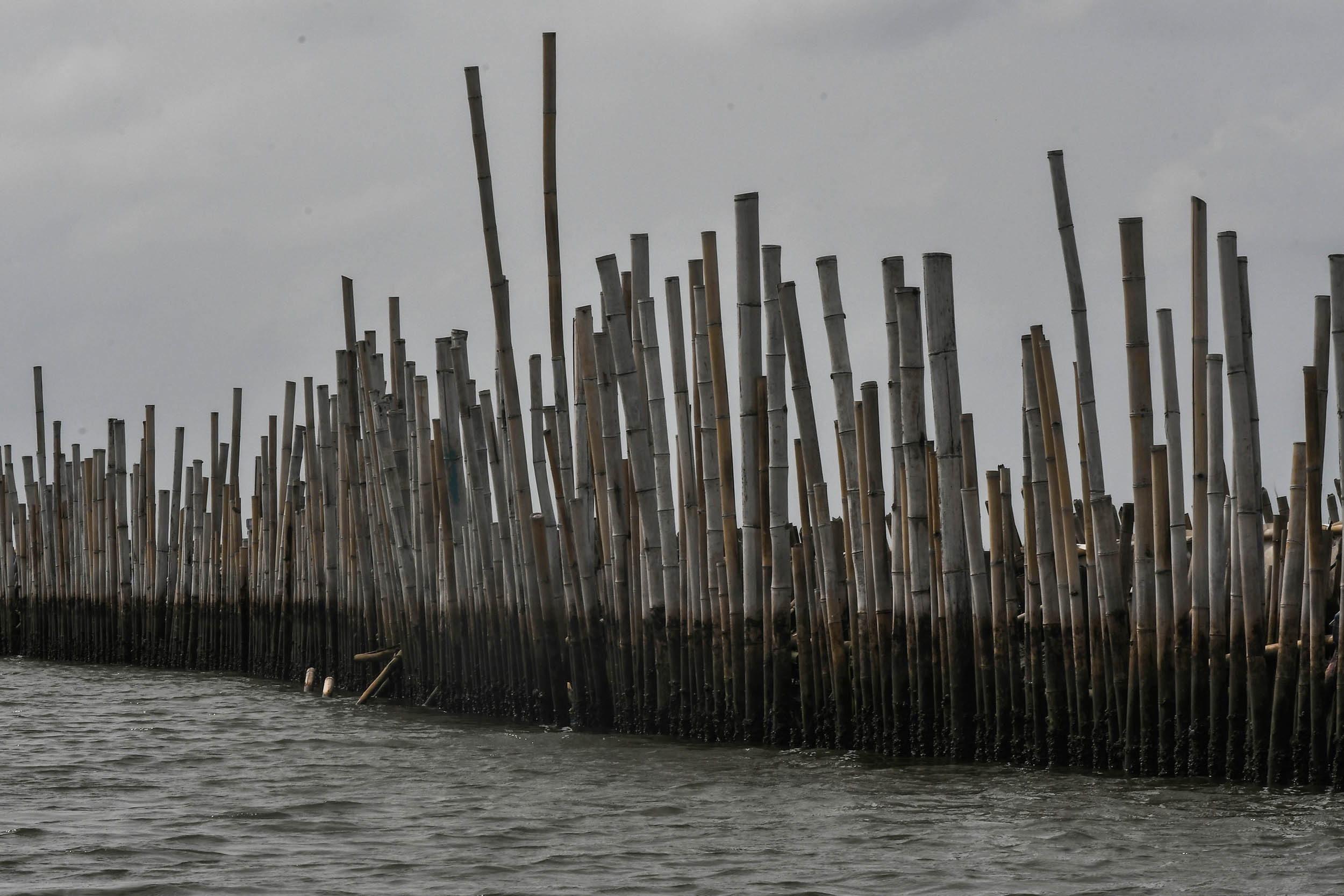PT TRPN Sudah Bayar Denda Rp2 Miliar Terkait Kasus Pagar Laut di Bekasi
