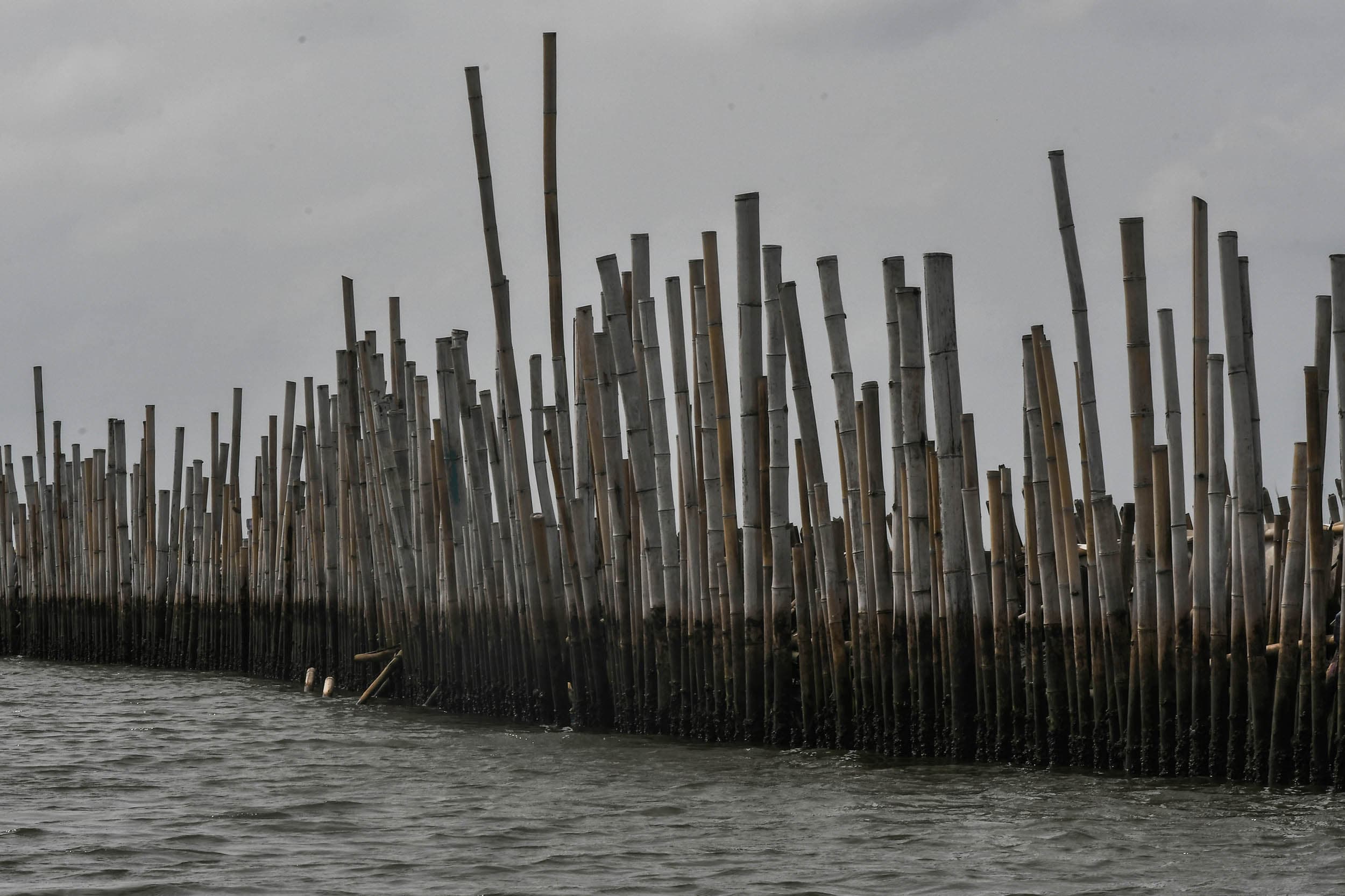 Pengawasan Lemah, Kasus Pagar Laut Ilegal Ancam Ekosistem dan Mata Pencaharian Nelayan