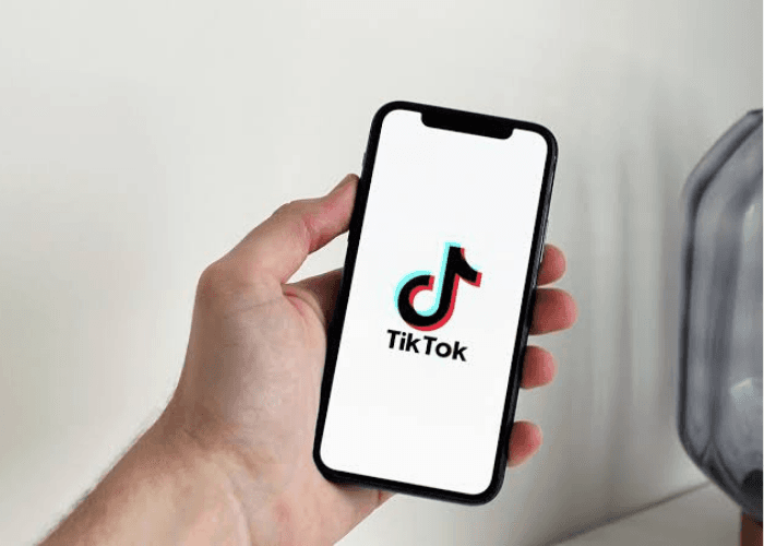 Download Video TikTok Langsung ke WhatsApp Tanpa Watermark, Bisa Pakai ProxyCroxy?