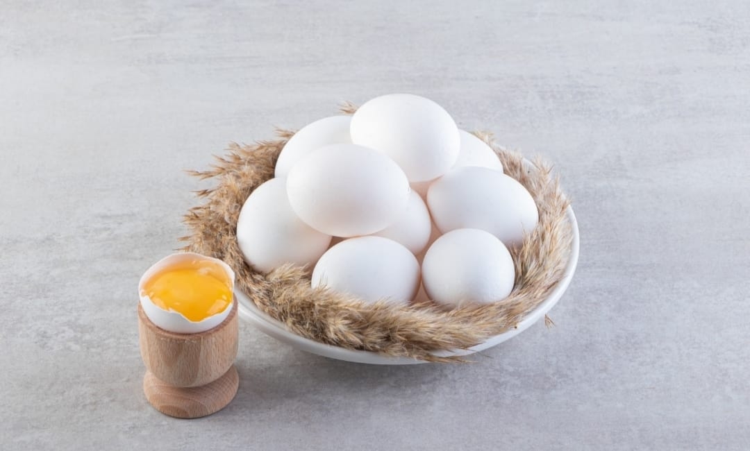 Manfaat Telur Ayam Kampung bagi Kecerdasan Anak, Ibu Harus Kepo