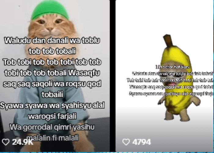 Viral di TikTok, Ternyata Ini Makna dan Lirik Lagu Tob Tobi Tob