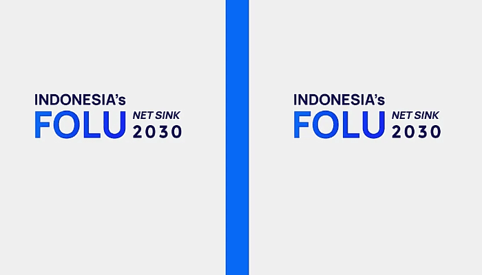 Apa Itu FOLU Net Sink 2030 KLHK yang Banyak Diisi Kader PSI? Ketahui Inilah 4 Strategi Utama yang Akan Dicapai