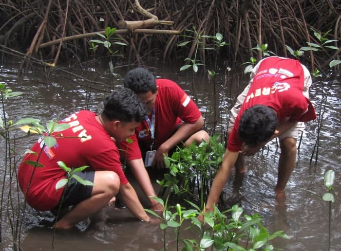 Menjelajah Pesona Pulau Pramuka, Perjalanan Tidak Terlupakan
