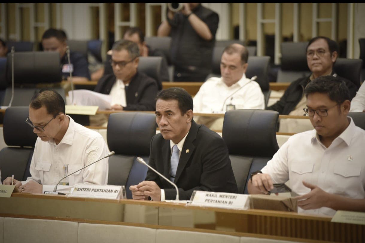 Produksi Pangan Melonjak, Mentan Amran: Tak Perlu Impor!