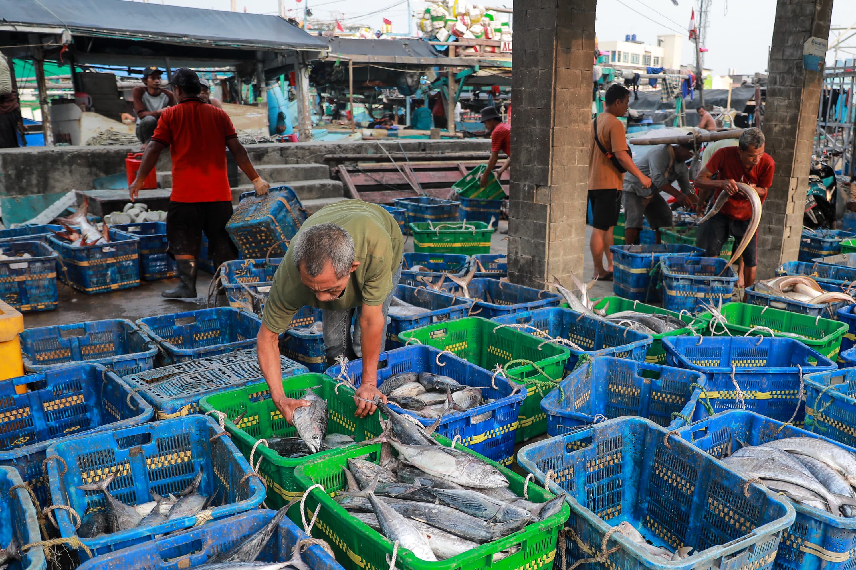 KKP Diminta Perkuat Pemberdayaan Nelayan Kecil agar Memiliki Daya Saing
