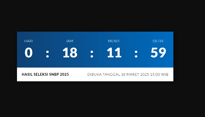 Situs Utama Eror? Ini 45 Link Pengumuman SNBP 2025 Selain snbp.snpmb.id: Siap Diakses, Calon Mahasiswa Baru Wajib Tahu!
