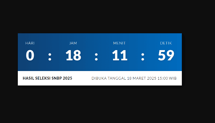 Situs Utama Eror? Ini 45 Link Pengumuman SNBP 2025 Selain snbp.snpmb.id: Siap Diakses, Calon Mahasiswa Baru Wajib Tahu!
