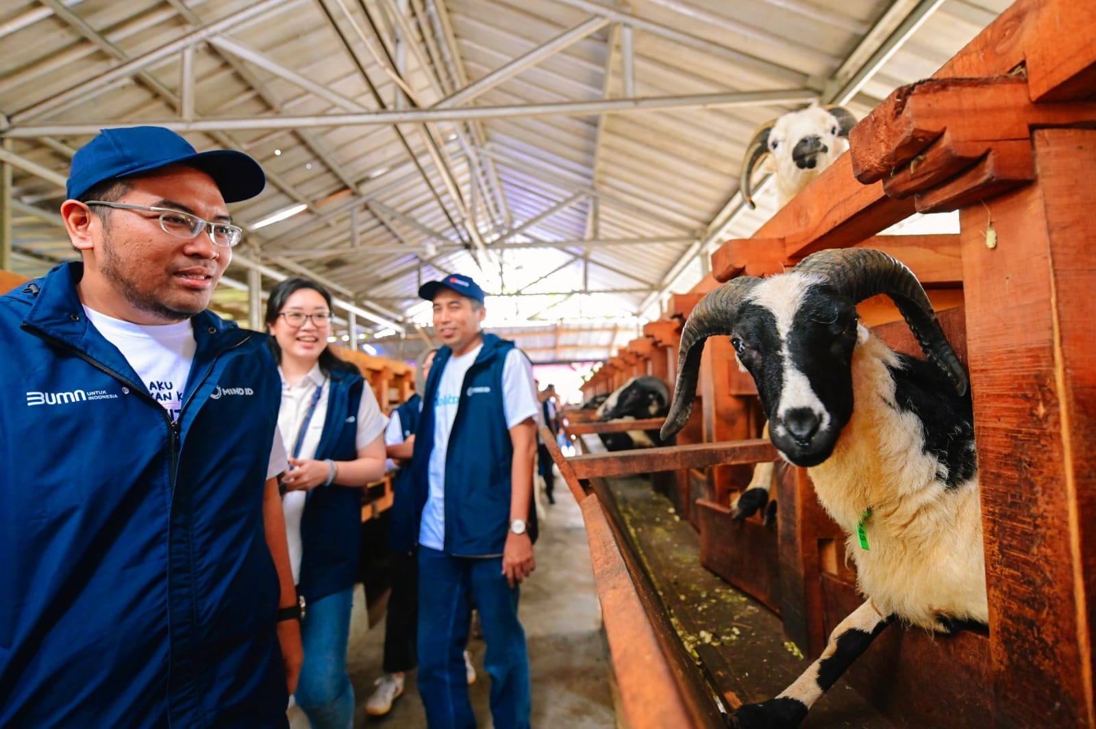 MIND ID Bina UMK Pertanian, Dorong Produktivitas dan Ketahanan Pangan