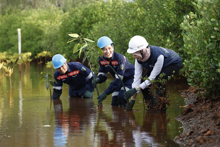 Konsisten Dukung NZE, Grup MIND ID Tanam 126.000 Mangrove