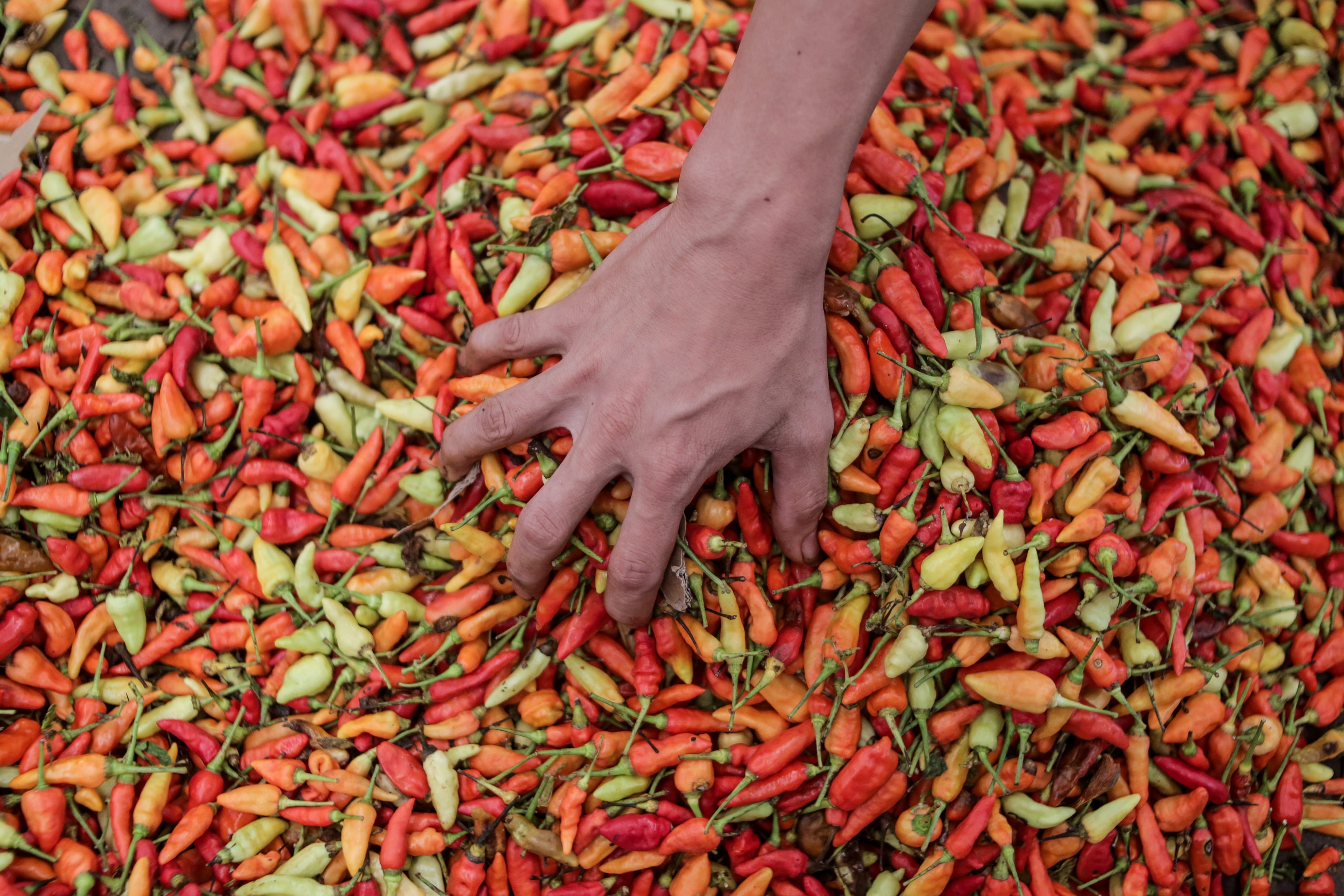 Harga Emas dan Cabai Dongkrak Inflasi Oktober 2025