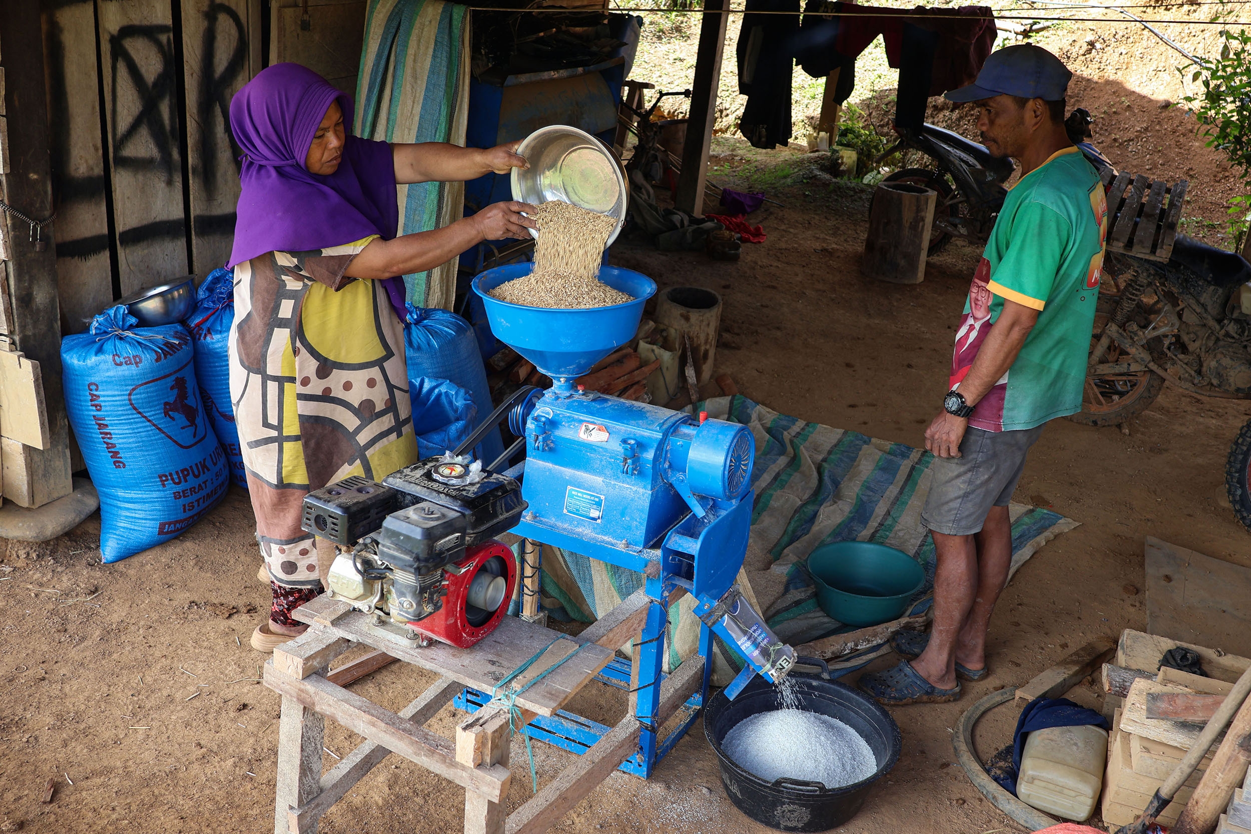 Pemerintah Naikkan HPP Gabah Jadi Rp6.500, Petani Diuntungkan