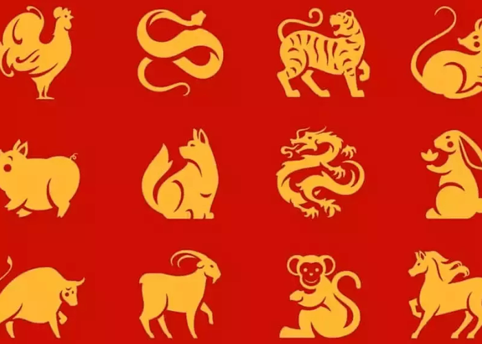 Ramalan Shio 14 April 2025: Saatnya Introspeksi atau Melangkah Maju?