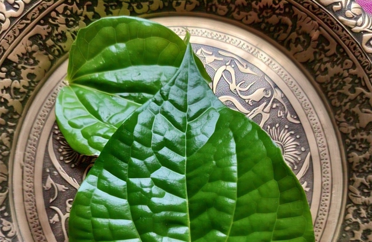 Manfaat Daun Sirih untuk Infeksi Mata yang Jarang Diketahui