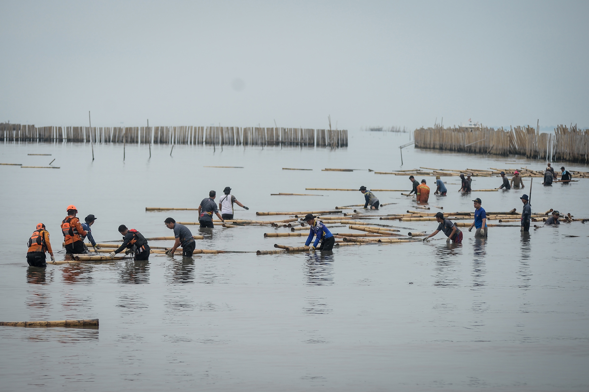 KKP Perketat Impor Ikan Asing, Lindungi Konsumen Nasional