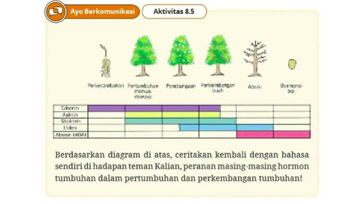Kunci Jawaban Biologi Kelas 11 Halaman 256 Kurikulum Merdeka: Tumbuh Kembang Makhluk Hidup