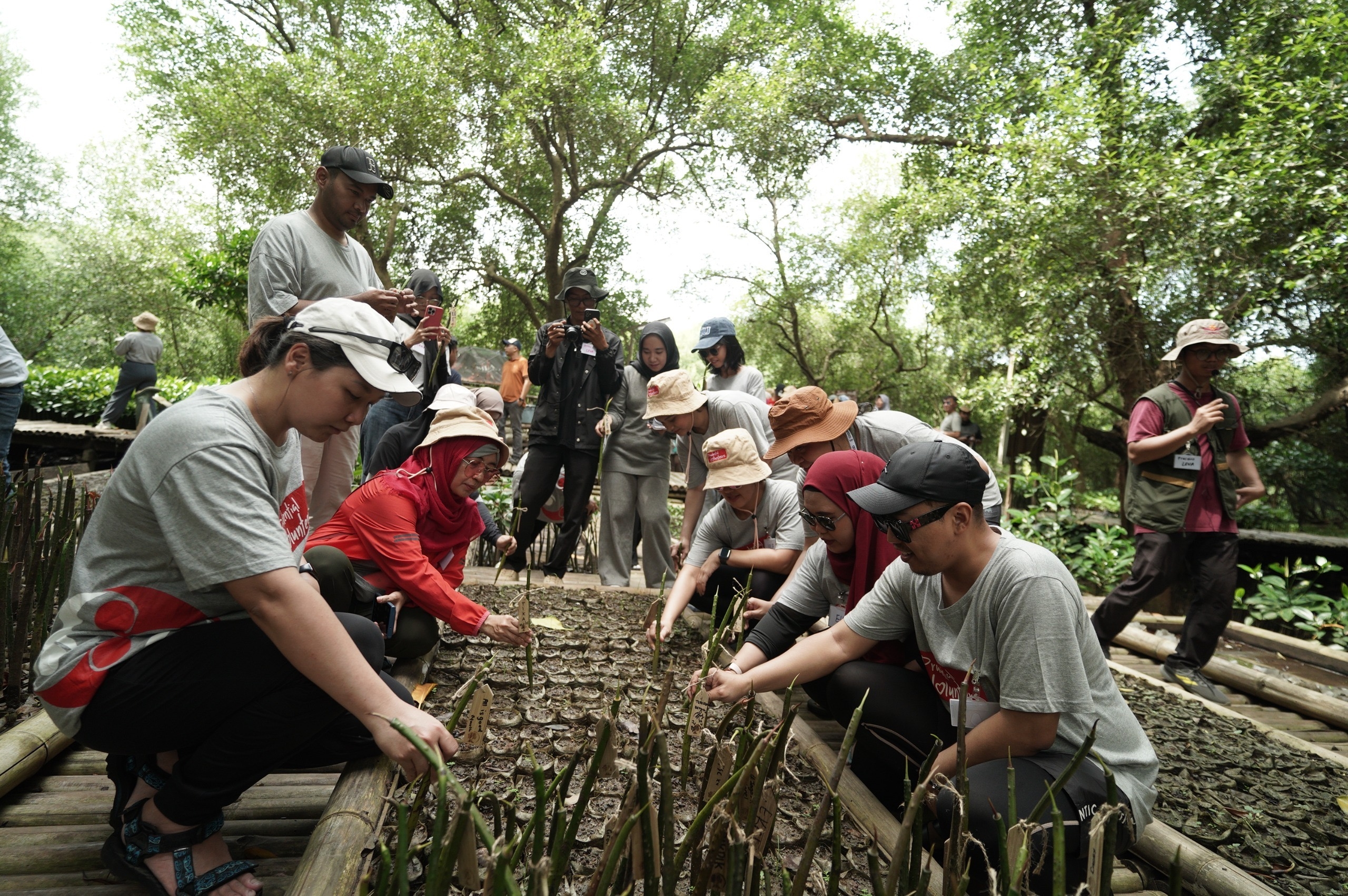 Peringati Hari Bumi 2025, Prudential Indonesia Tanam 5.000 Mangrove di Kepulauan Seribu