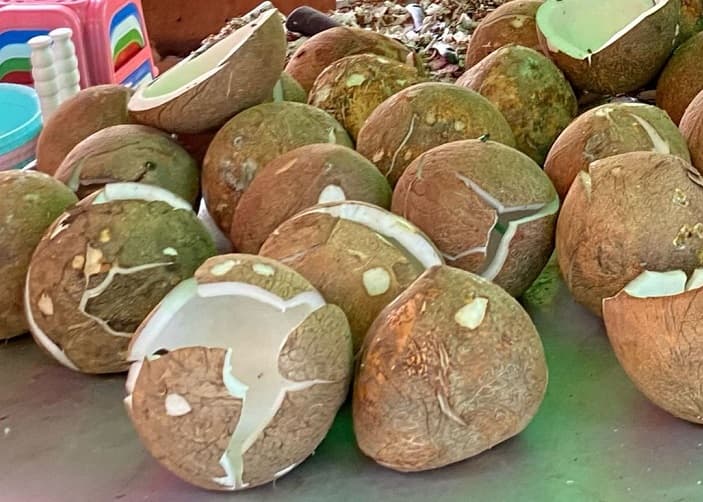 Harga Kelapa Melonjak, Warga Terpaksa Irit dengan Beli Setengah Butir dan Dicampur Air