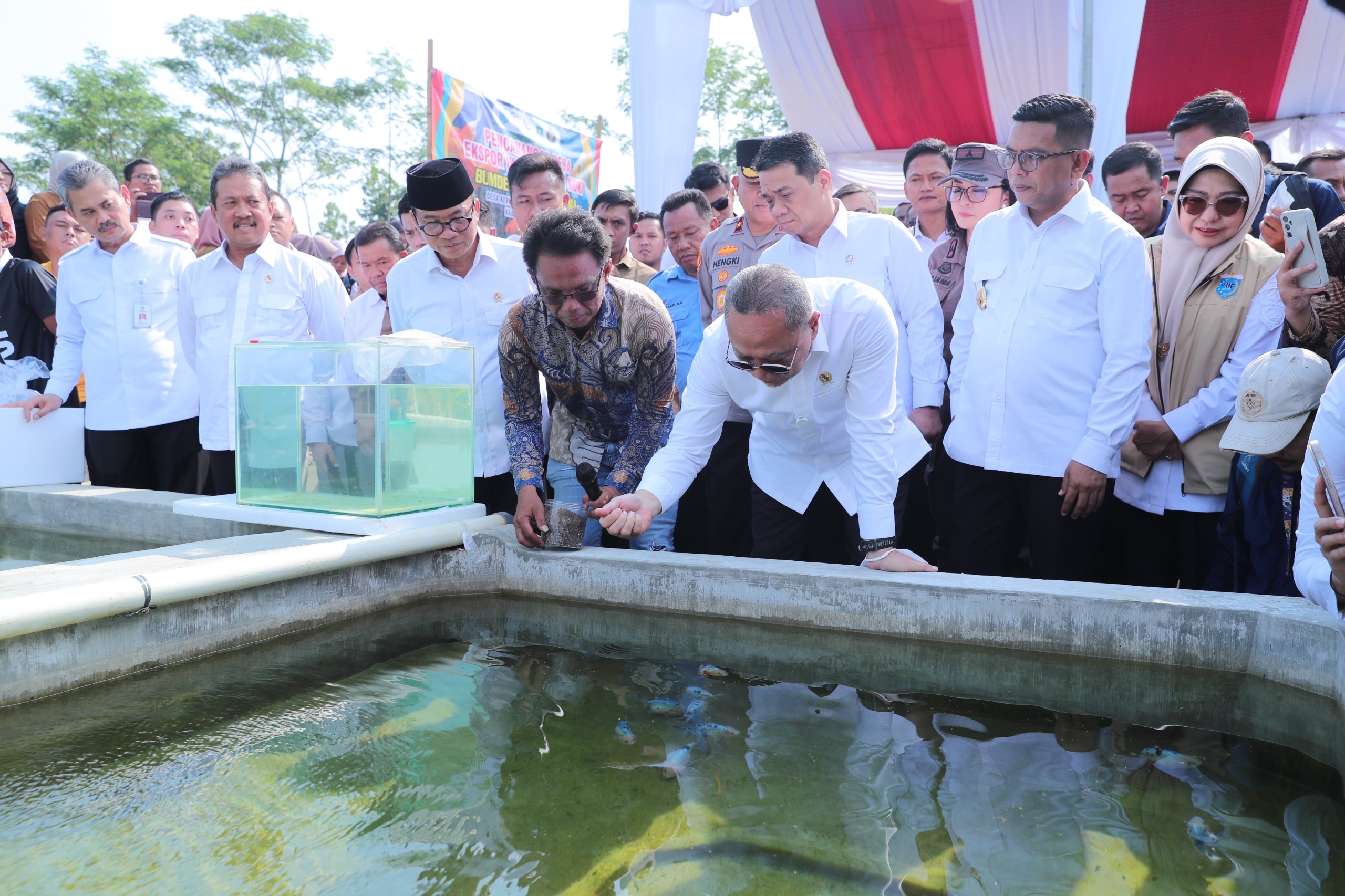 Dukung Asta Cita, Pemerintah Canangkan Kertasana Jadi Desa Ekspor Ikan Mas Koki