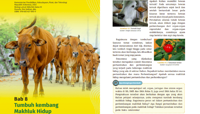 Kunci Jawaban Biologi Kelas 11 Halaman 244 Kurikulum Merdeka: Tumbuh Kembang Makhluk Hidup