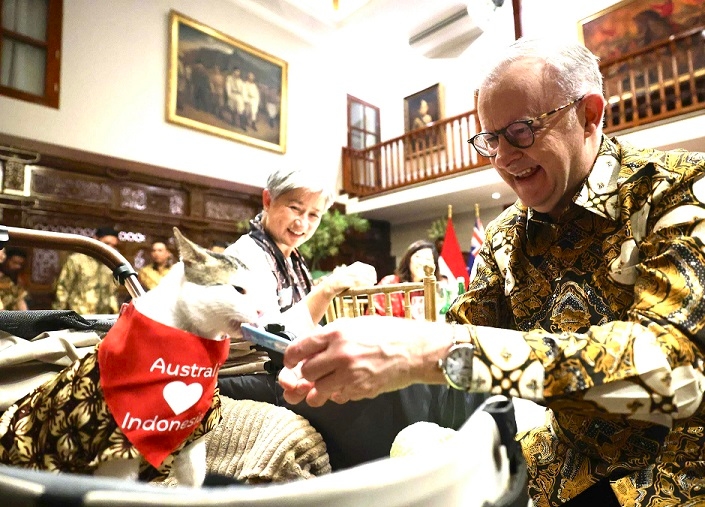 PM Australia Beri Hadiah Syal untuk Kucing Presiden Prabowo, Tanda Cinta kepada Indonesia