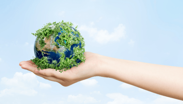 Mengapa Terjadi Masalah Lingkungan di Bumi? Simak 5 Faktor Penyebab Utama dan Contohnya