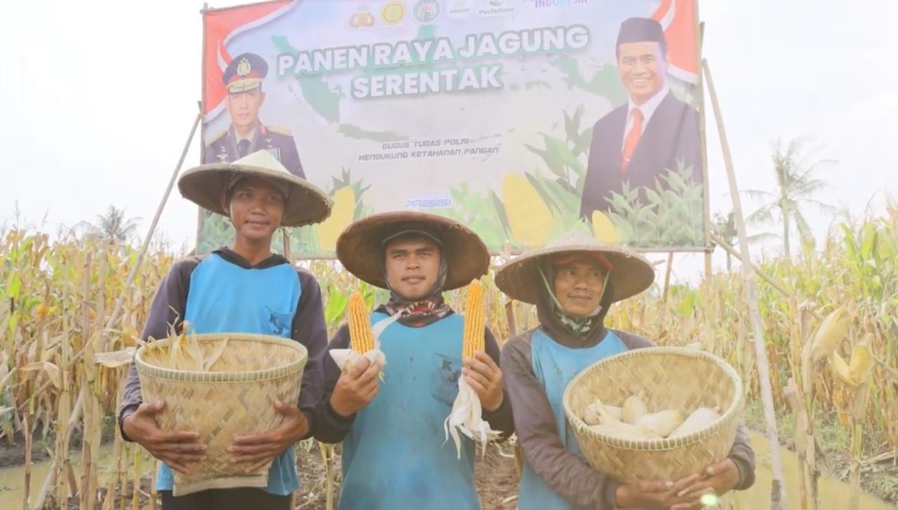 Panen Raya Jagung di Teluknaga, Kolaborasi Polri dan PIK2 Dukung Kemandirian Pangan