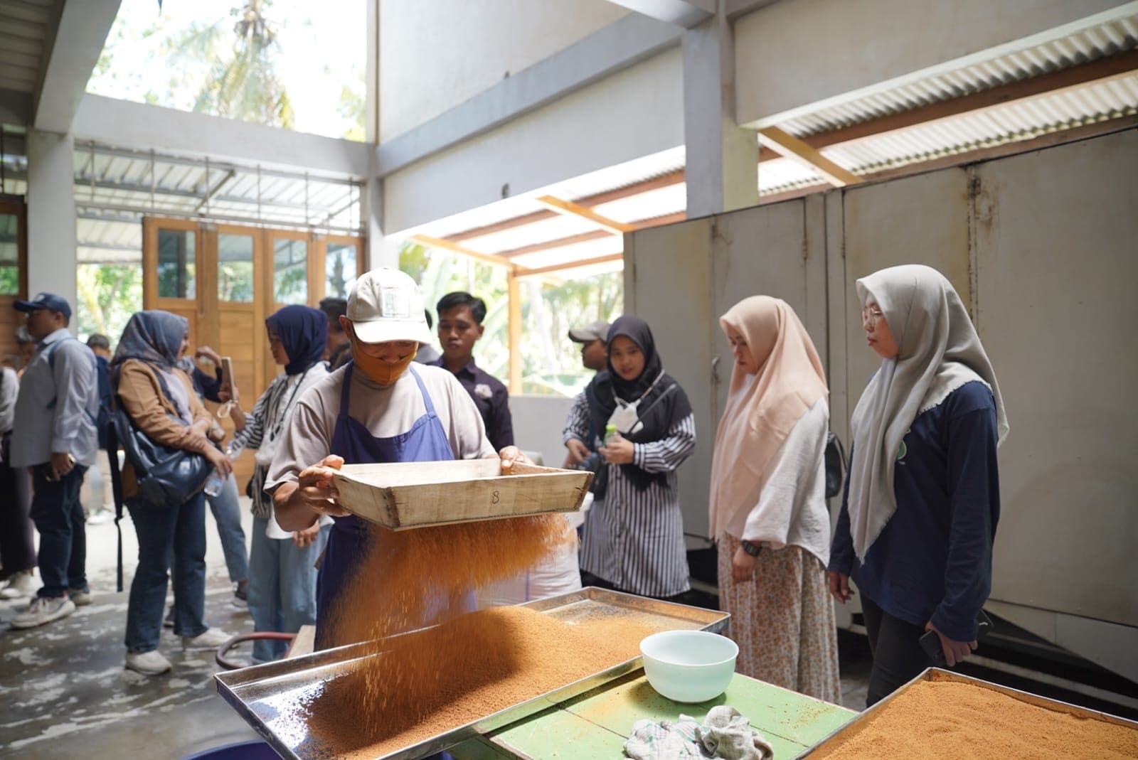 Kementan Genjot Pembentukan Korporasi Petani, Dorong Transformasi Pertanian Kolektif