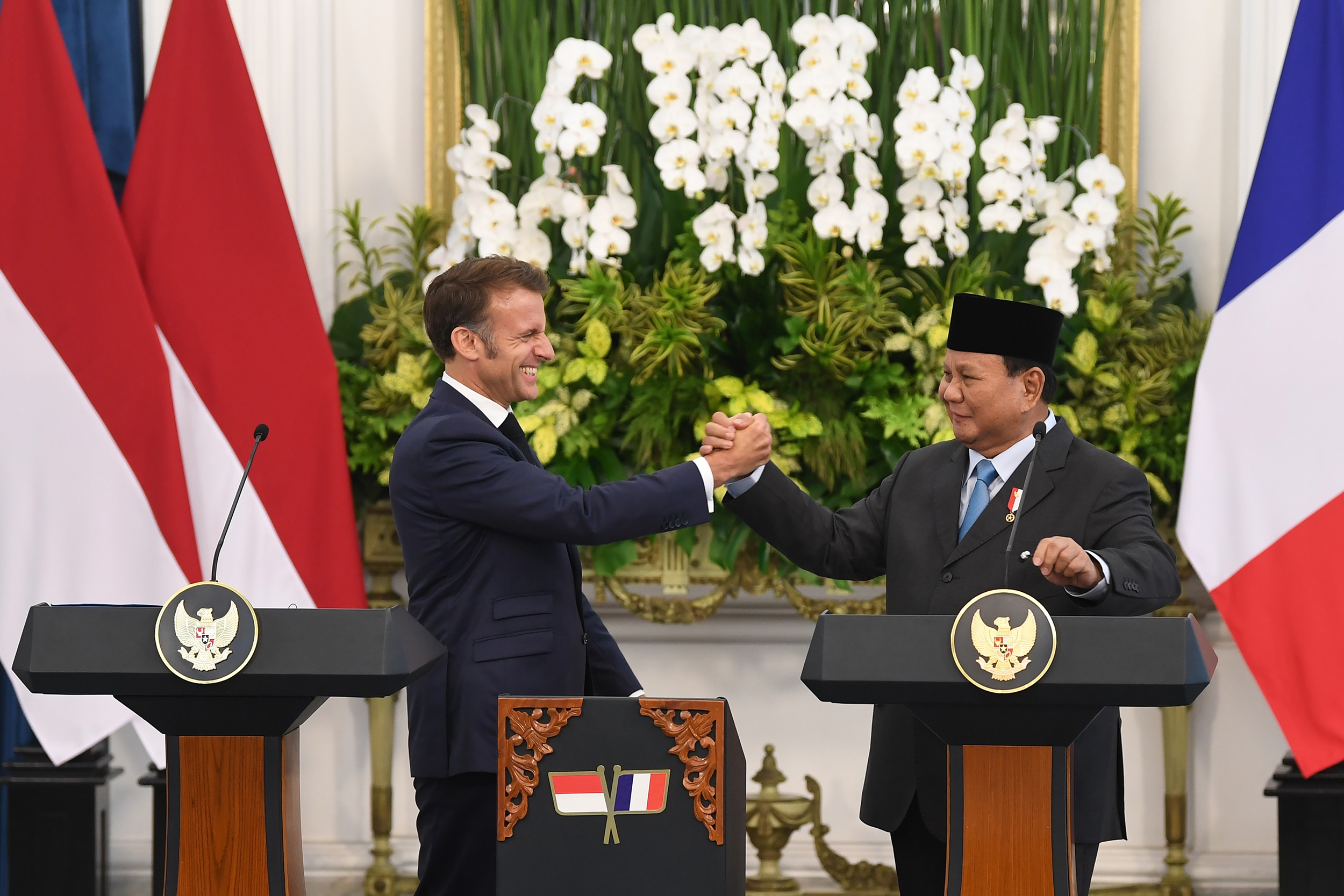 Peringati 75 Tahun Persahabatan, Indonesia-Prancis Sepakat Perkuat Kemitraan Strategis hingga 2050