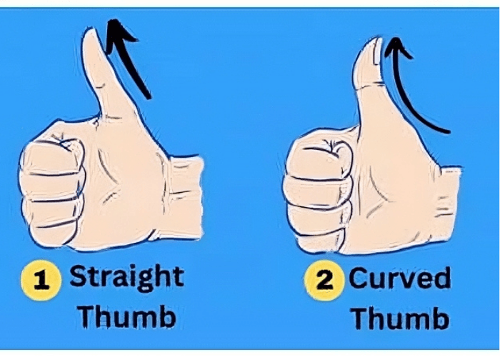Tes kepribadian: Bagaimana Bentuk Ibu Jari Mengungkapkan Kualitas Tersembunyi dan Sifat Asli Anda