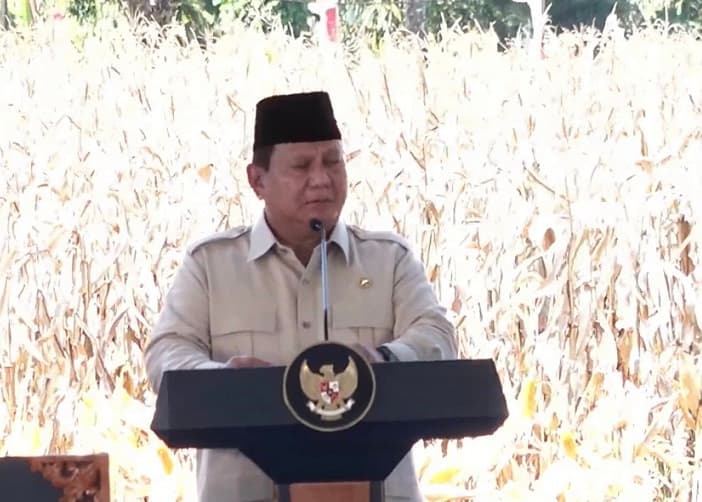 Jaga Ketahanan Pangan, Prabowo Targetkan Cetak 480 Ribu Hektare Sawah Baru di Tahun Depan