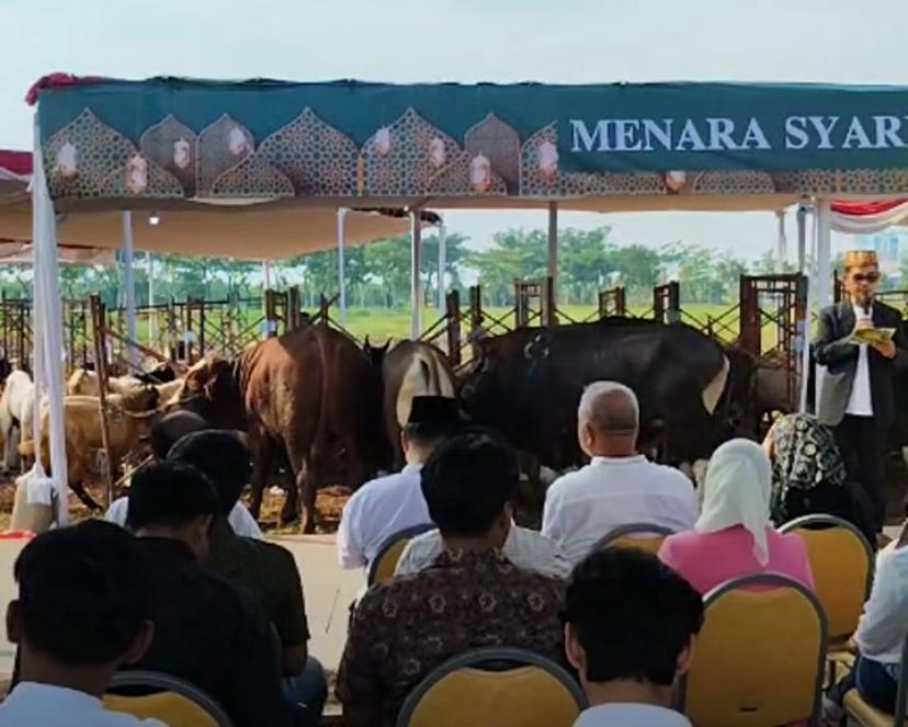 Agung Sedayu Sumbang Puluhan Sapi dan Ratusan Kambing Kurban di Masjid Al-Khairiyah PIK 2