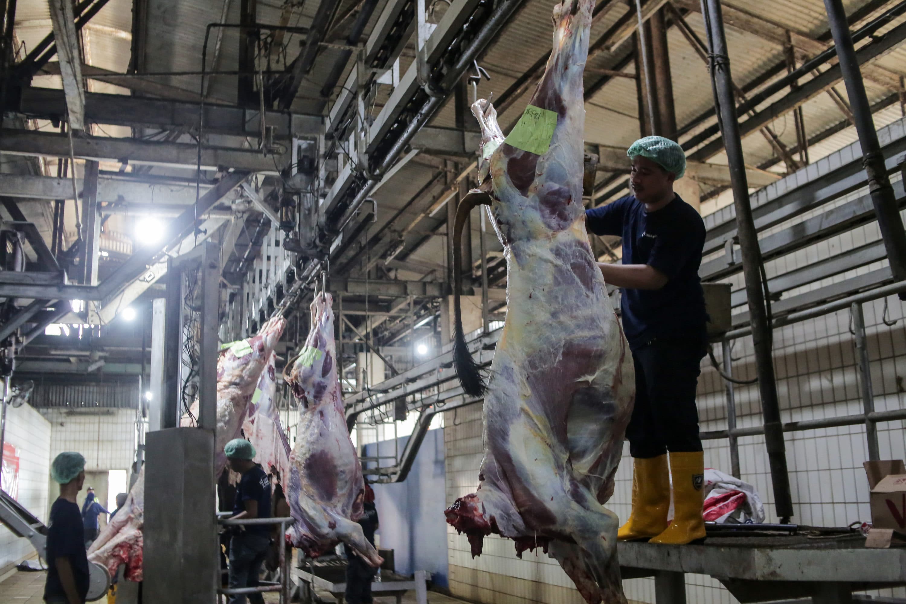 BPJPH Dorong Juru Sembelih Halal Perkuat Ekosistem Halal Nasional