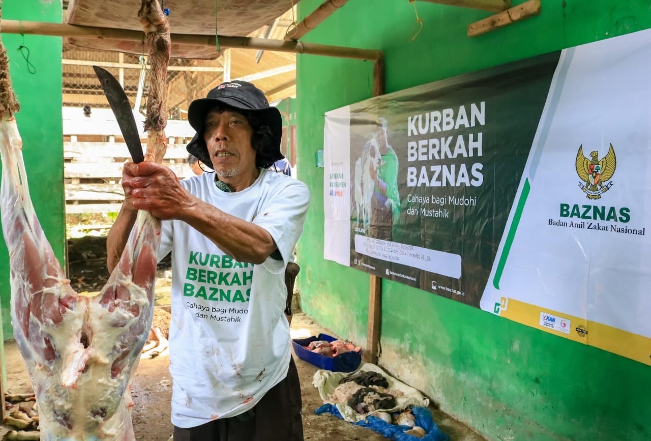 Baznas Kurban 3.582 Kambing dan Domba di 43 Titik, Disalurkan ke Seluruh Wilayah Indonesia