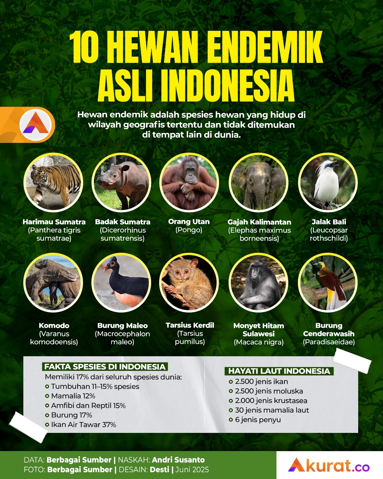 Hewan Endemik Indonesia