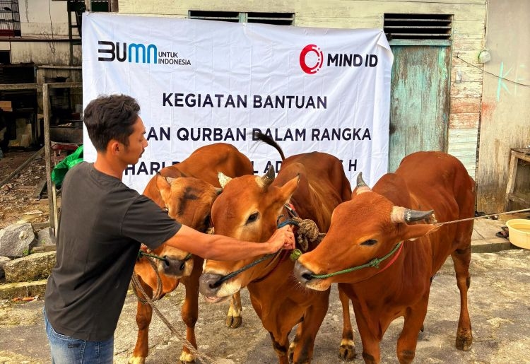 Grup MIND ID Dukung Peningkatan Gizi Nasional Melalui Penyaluran 732 Hewan Kurban di Hari Raya Iduladha 1446 H