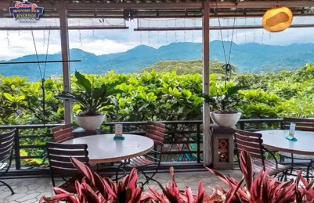 5 Cafe Asri di Bogor, Cocok untuk Healing Sambil Ngopi