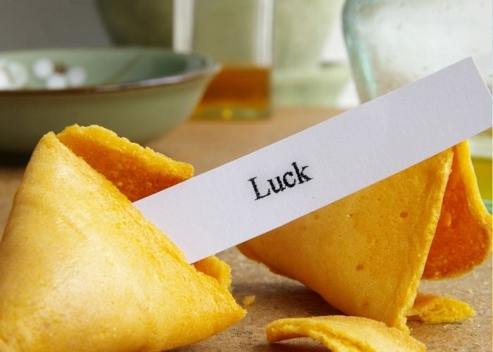 Terungkap! 6 Shio yang Diprediksi Beruntung di Juni 2025