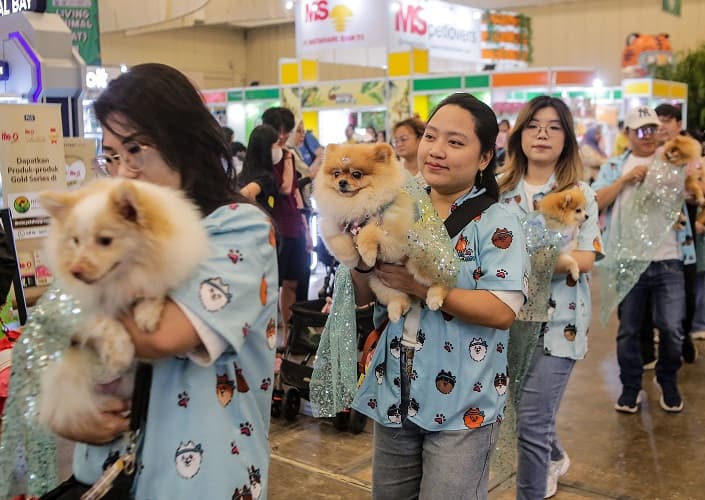 Sesuai Gaya Hidup dan Karakter, Ini 7 Jenis Hewan Peliharaan yang Cocok Buat Kamu